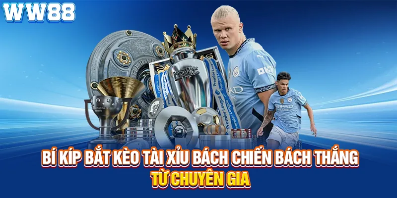 Bí kíp bắt kèo tài xỉu bách chiến bách thắng từ chuyên gia