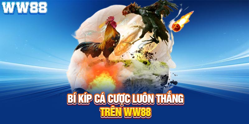 Bí kíp cá cược luôn thắng trên WW88
