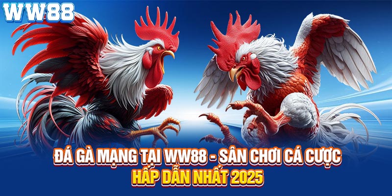 đá gà mạng