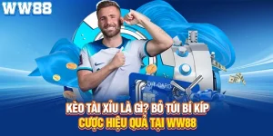 kèo tài xỉ là gì bỏ túi bí kíp cược hiệu quả tại ww88