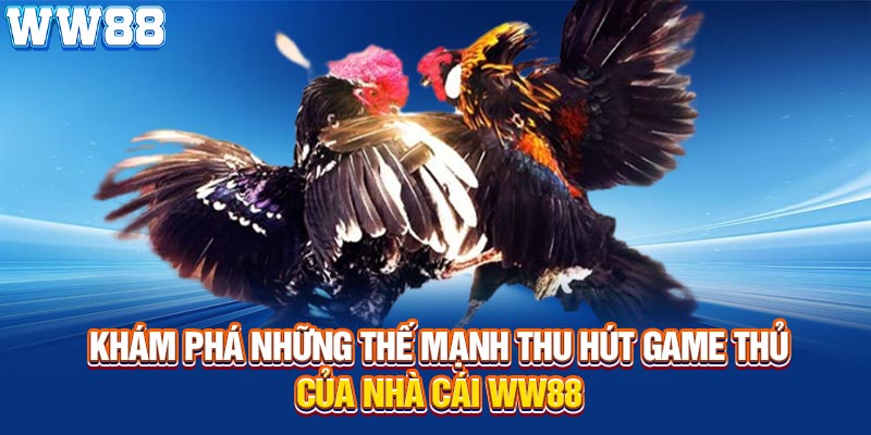 Khám phá những thế mạnh thu hút game thủ của nhà cái WW88